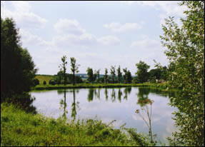 Fishing ponds in Maslomiaca
